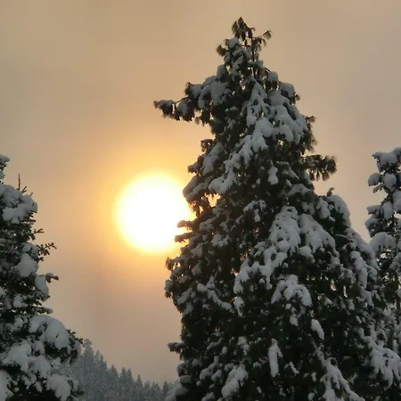 Gaestehaus Struggl * Steindorf am Ossiacher See